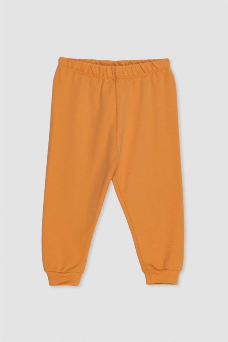 Baby Boy Lion Print 2 Piece Pajama Set