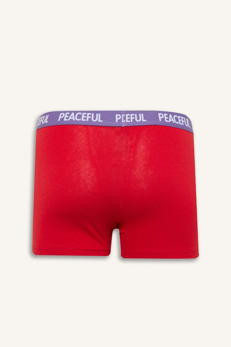 Lot de 3 Boxers à coupe régulière