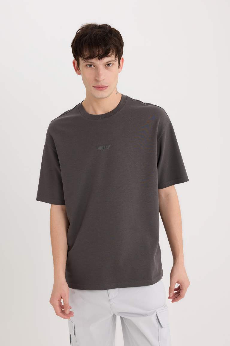 Boxy Fit Crew Neck Printed Heavy Fabric T-Shirt