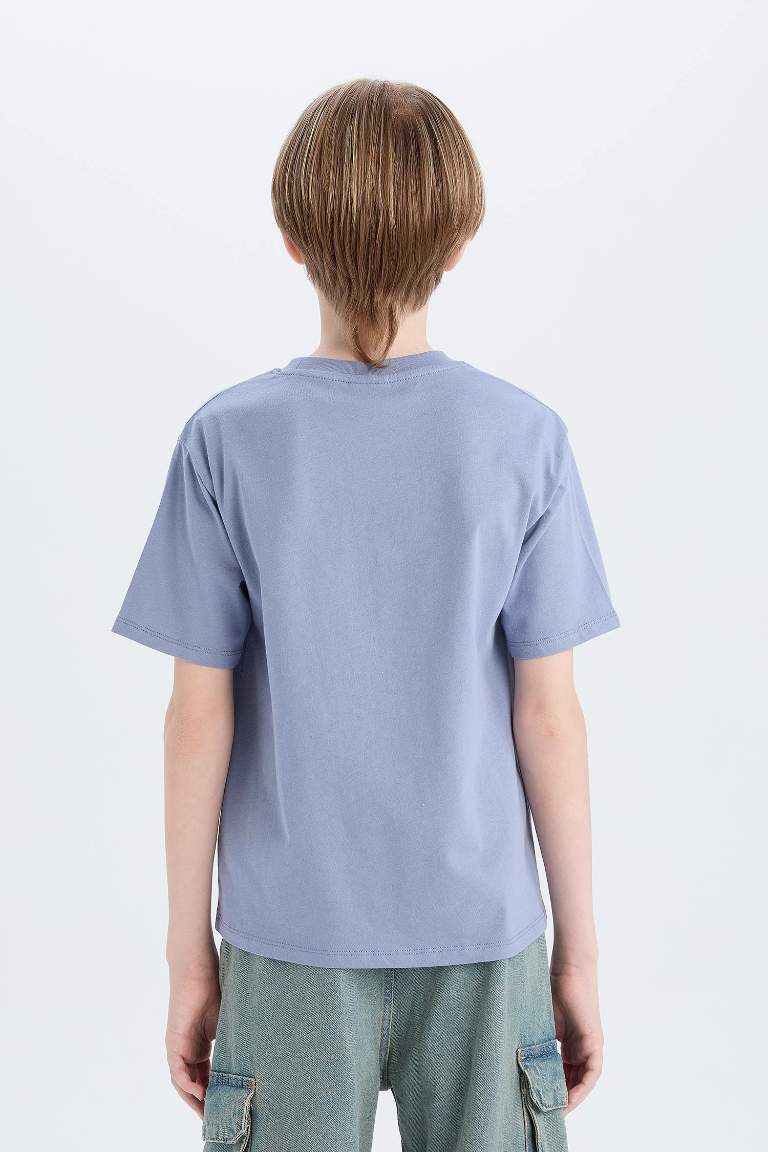 Boy Regular Fit Crew Neck Printed T-Shirt