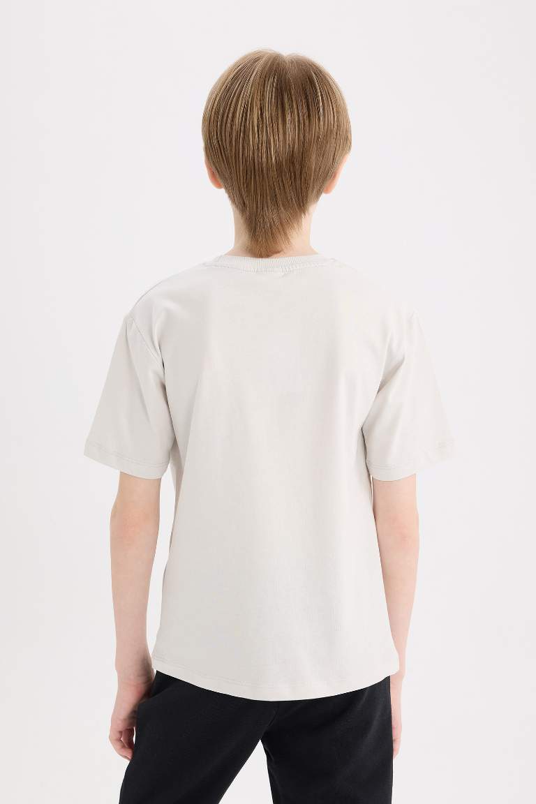 Boy Crew Neck Printed Short Sleeve T-Shirt