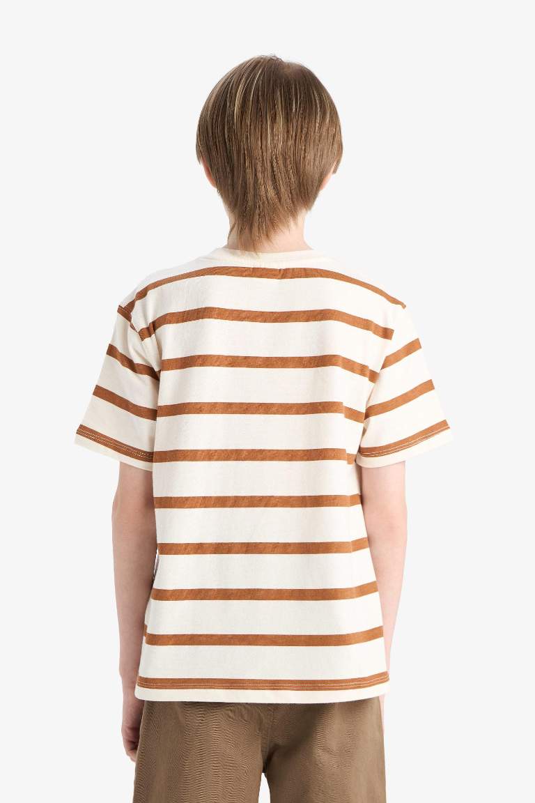 Boy Crew Neck Striped Short Sleeve T-Shirt