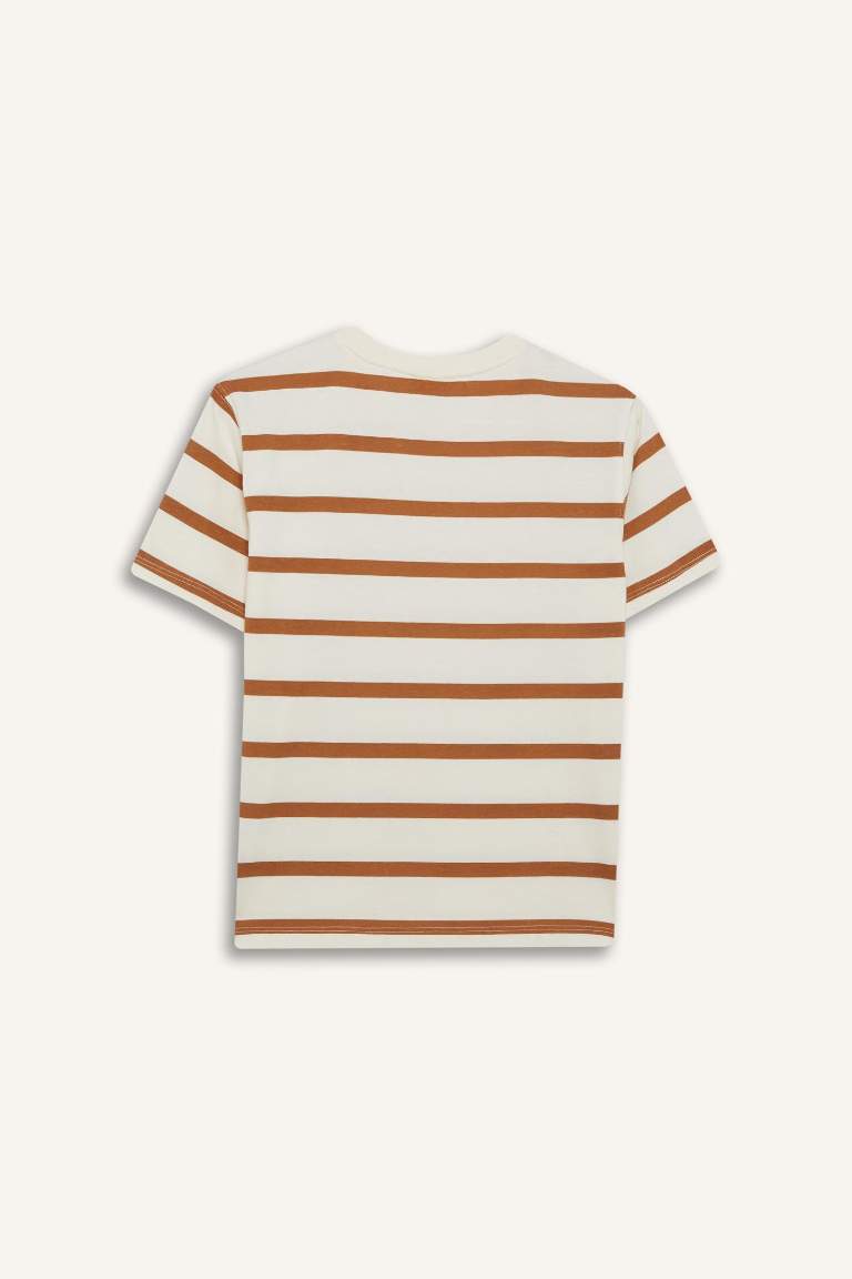 Boy Crew Neck Striped Short Sleeve T-Shirt