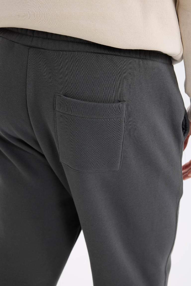 Regular Fit Elastic Waist Basic Straight Leg Sweatpants