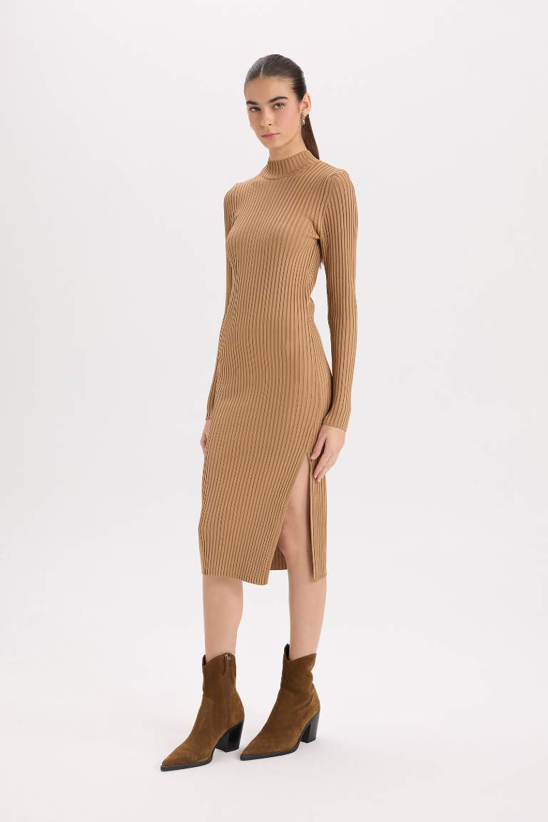 Slim Fit Half Turtleneck Ribana Dress