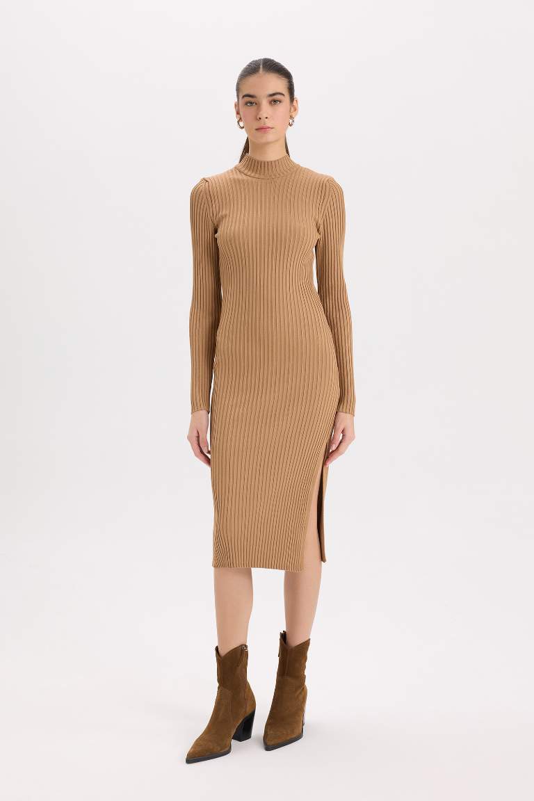 Slim Fit Half Turtleneck Ribana Dress