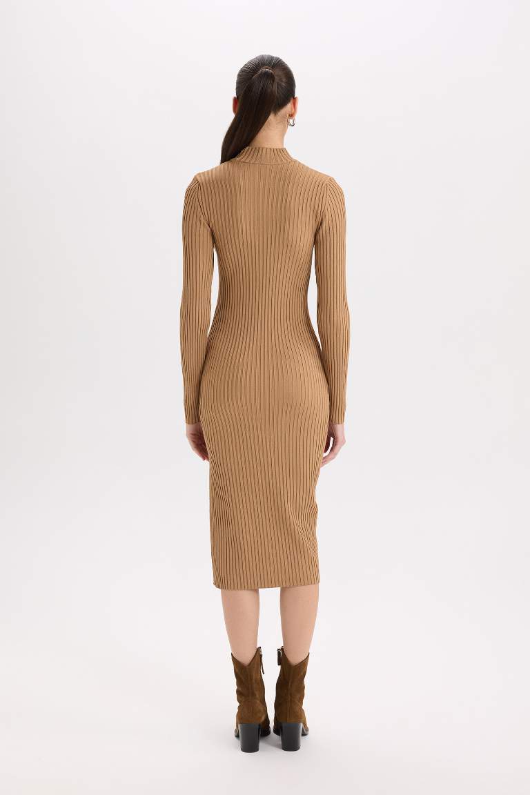 Slim Fit Half Turtleneck Ribana Dress