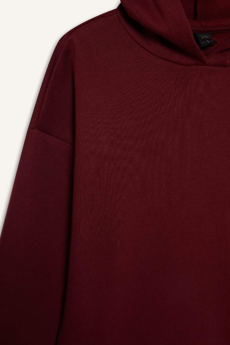 Relax Fit Kapüşonlu Basic Düz Kalın Sweatshirt