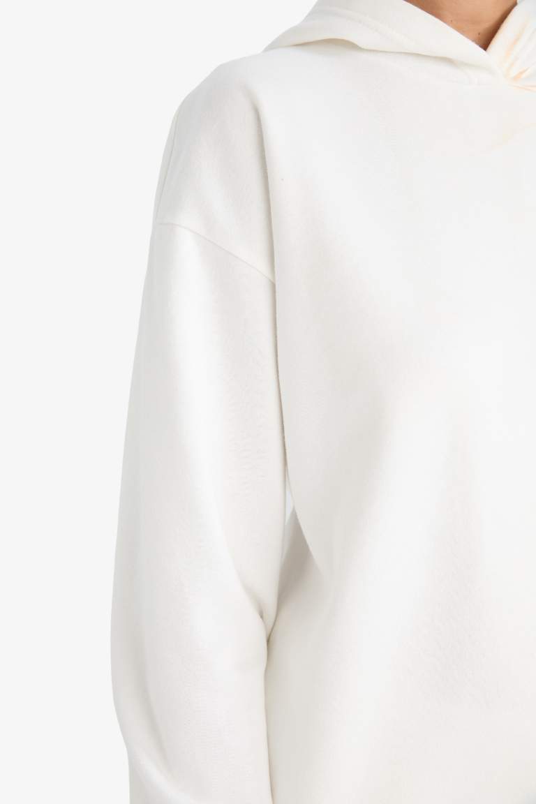 Relax Fit Kapüşonlu Basic Düz Kalın Sweatshirt