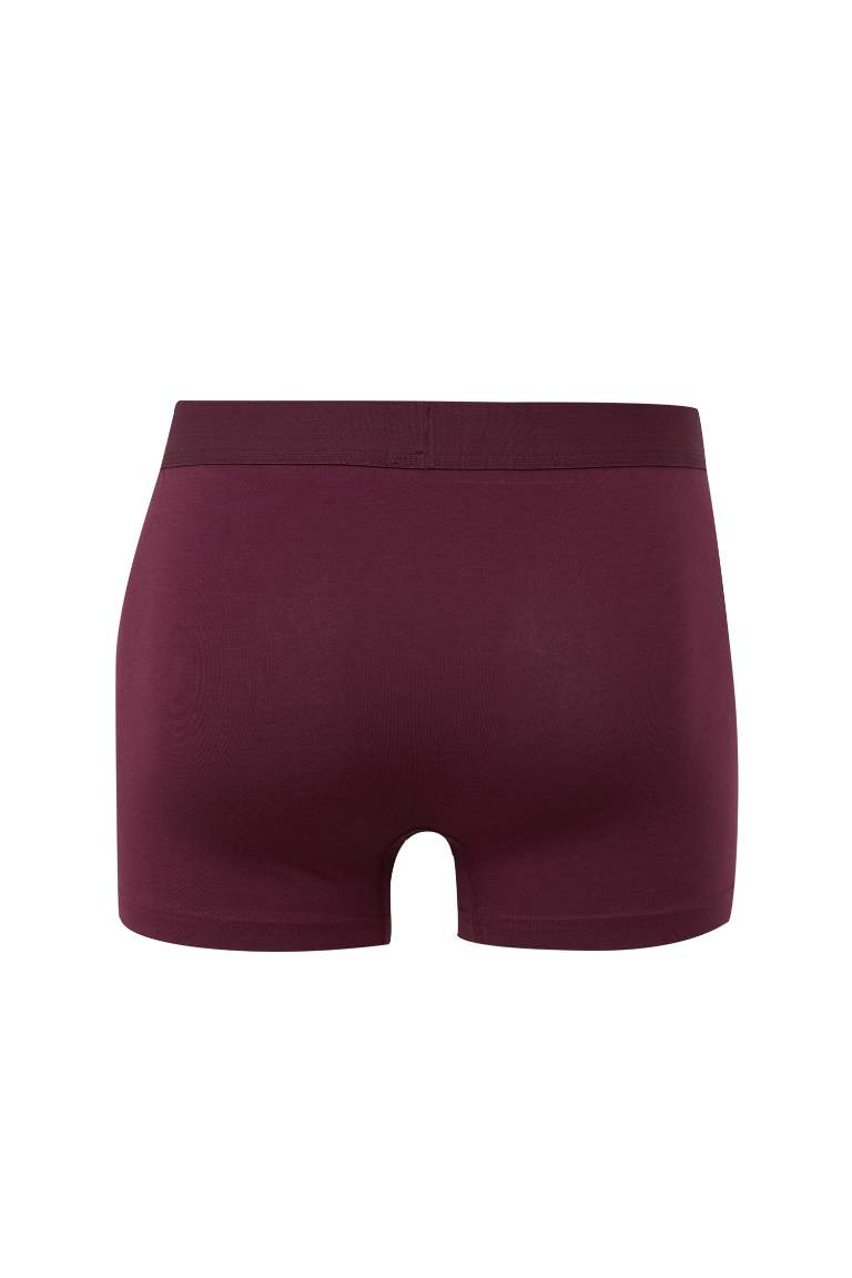 Erkek 3'lü Boxer