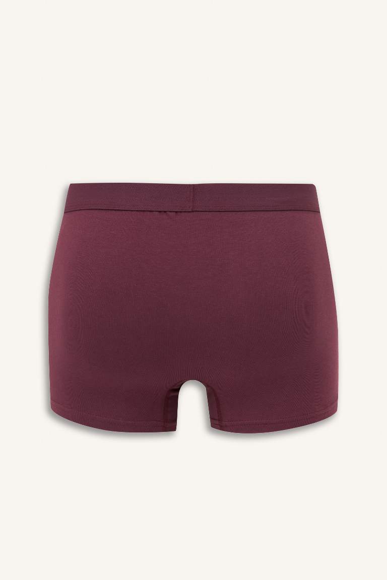 Regular Fit 3'lü Boxer
