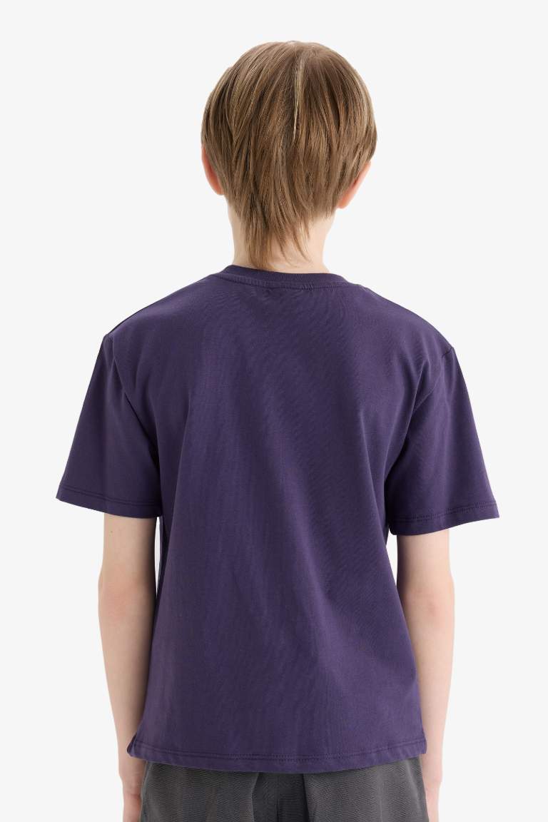 Boy New Regular Fit Crew Neck Embroidered T-Shirt