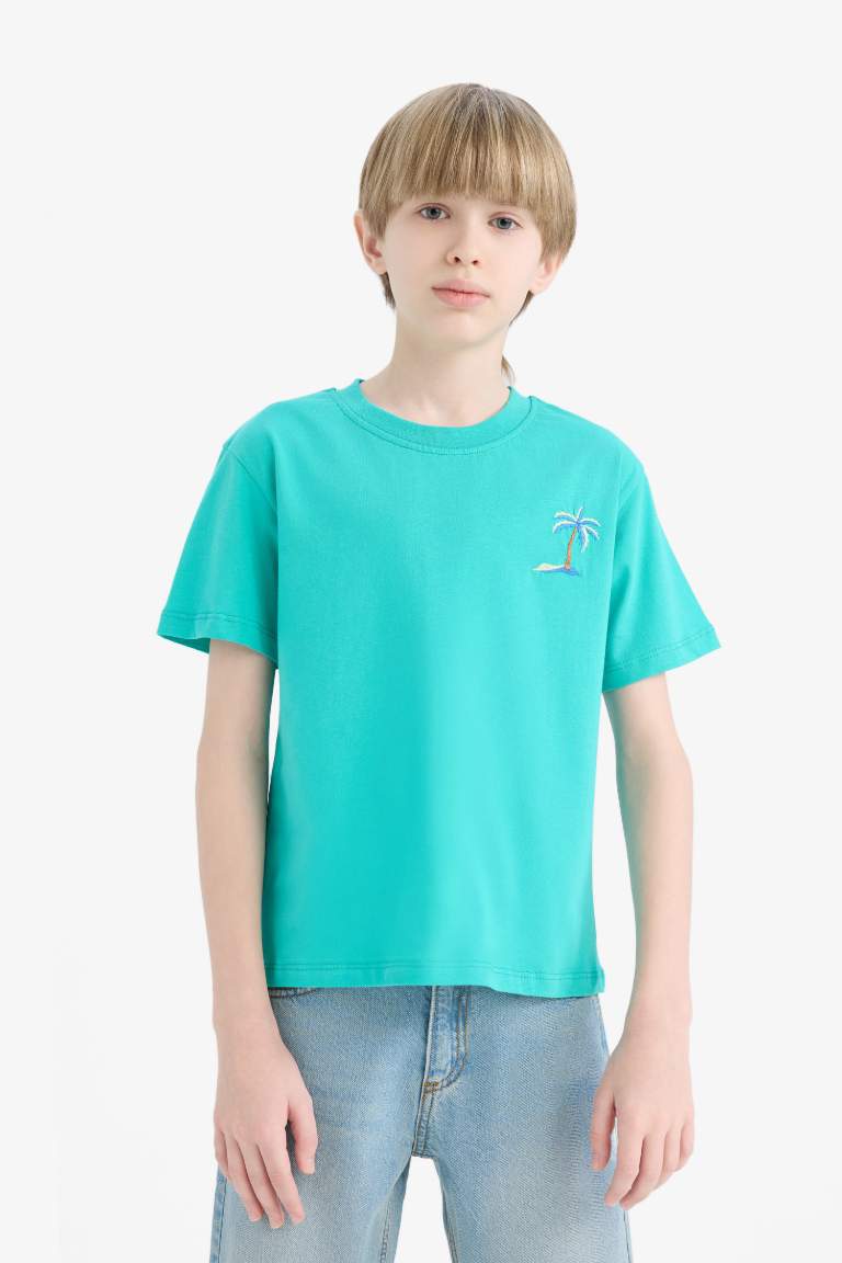 Boy New Regular Fit Crew Neck Embroidered T-Shirt