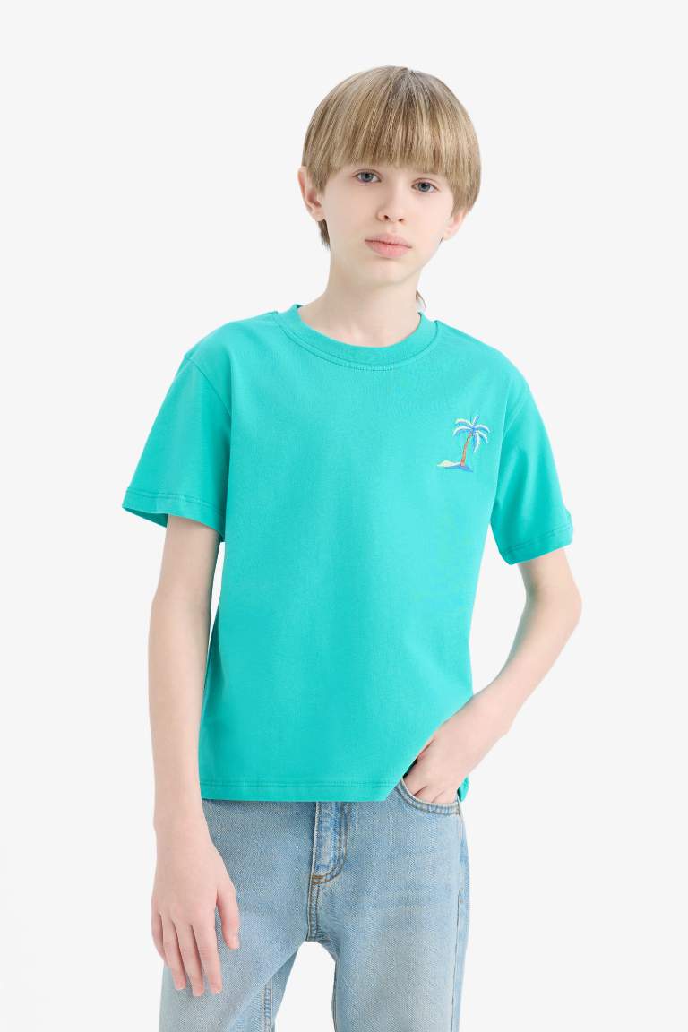 Boy New Regular Fit Crew Neck Embroidered T-Shirt