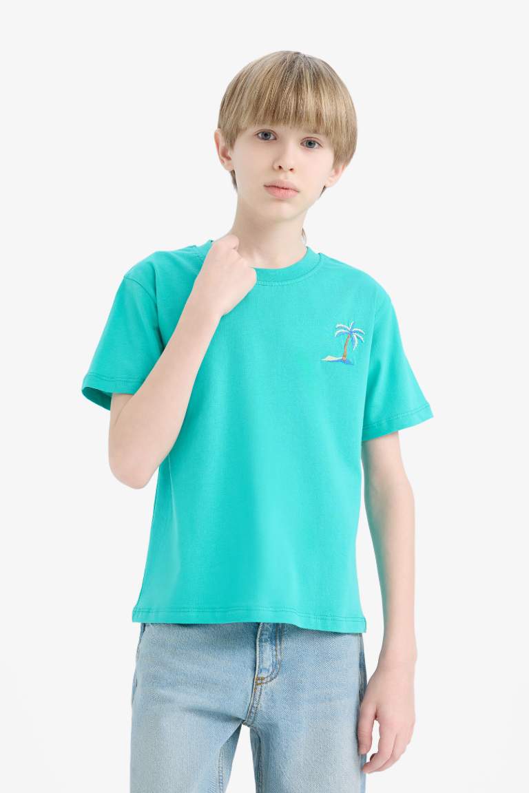 Boy New Regular Fit Crew Neck Embroidered T-Shirt