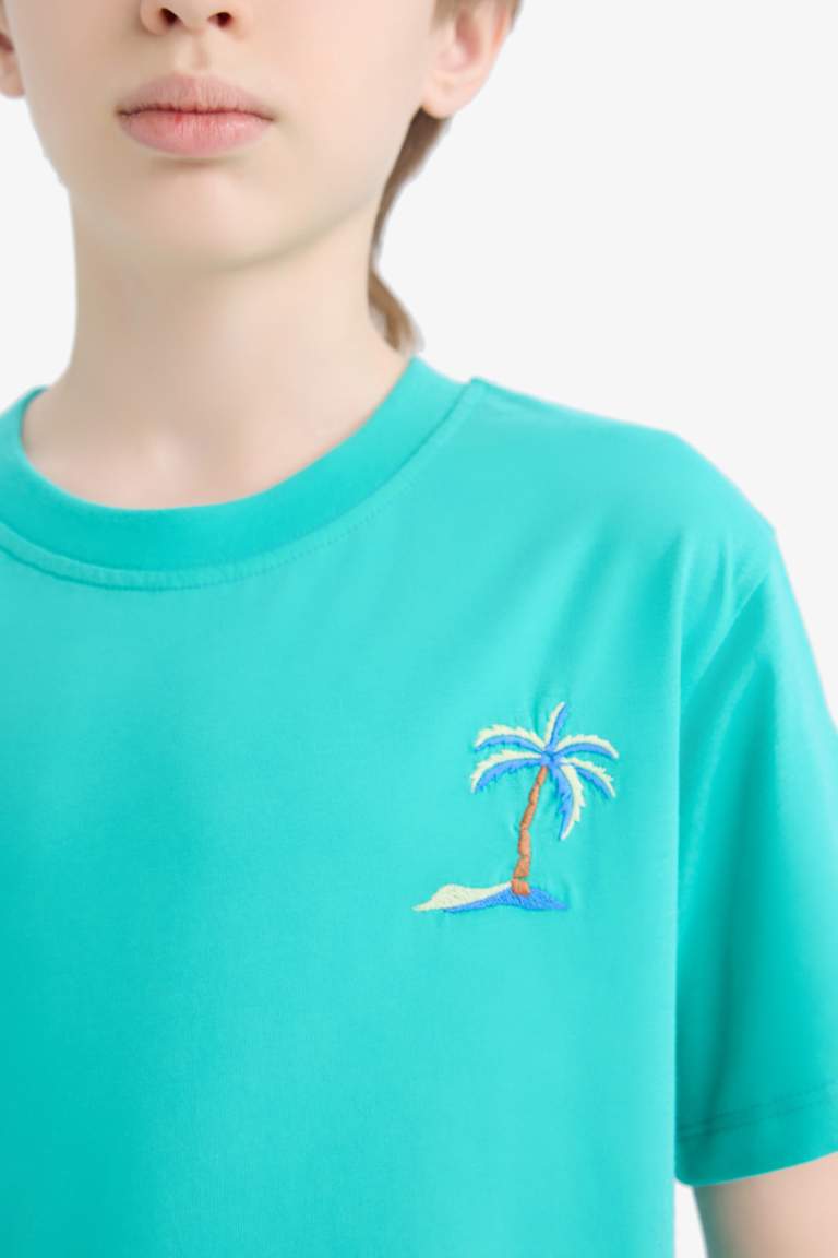 Boy New Regular Fit Crew Neck Embroidered T-Shirt