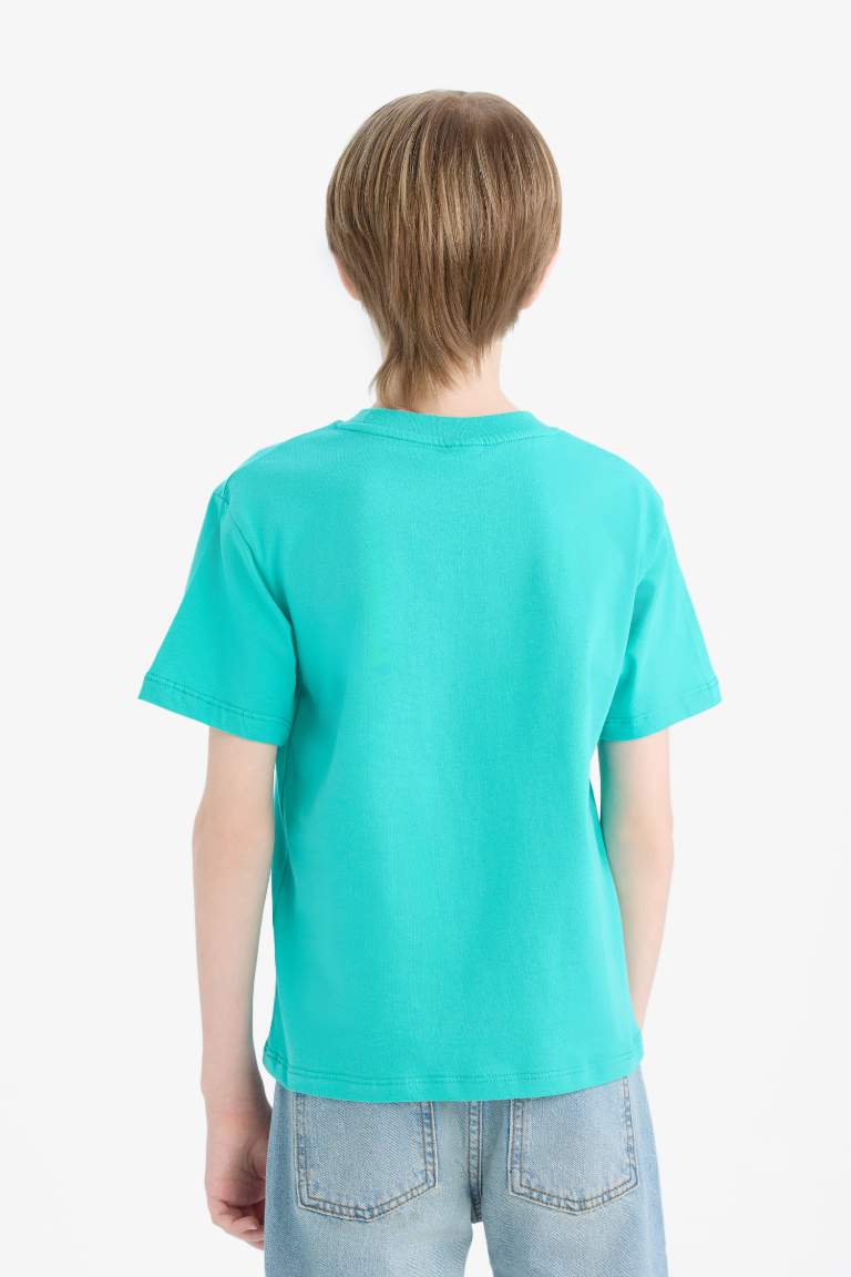 Boy New Regular Fit Crew Neck Embroidered T-Shirt