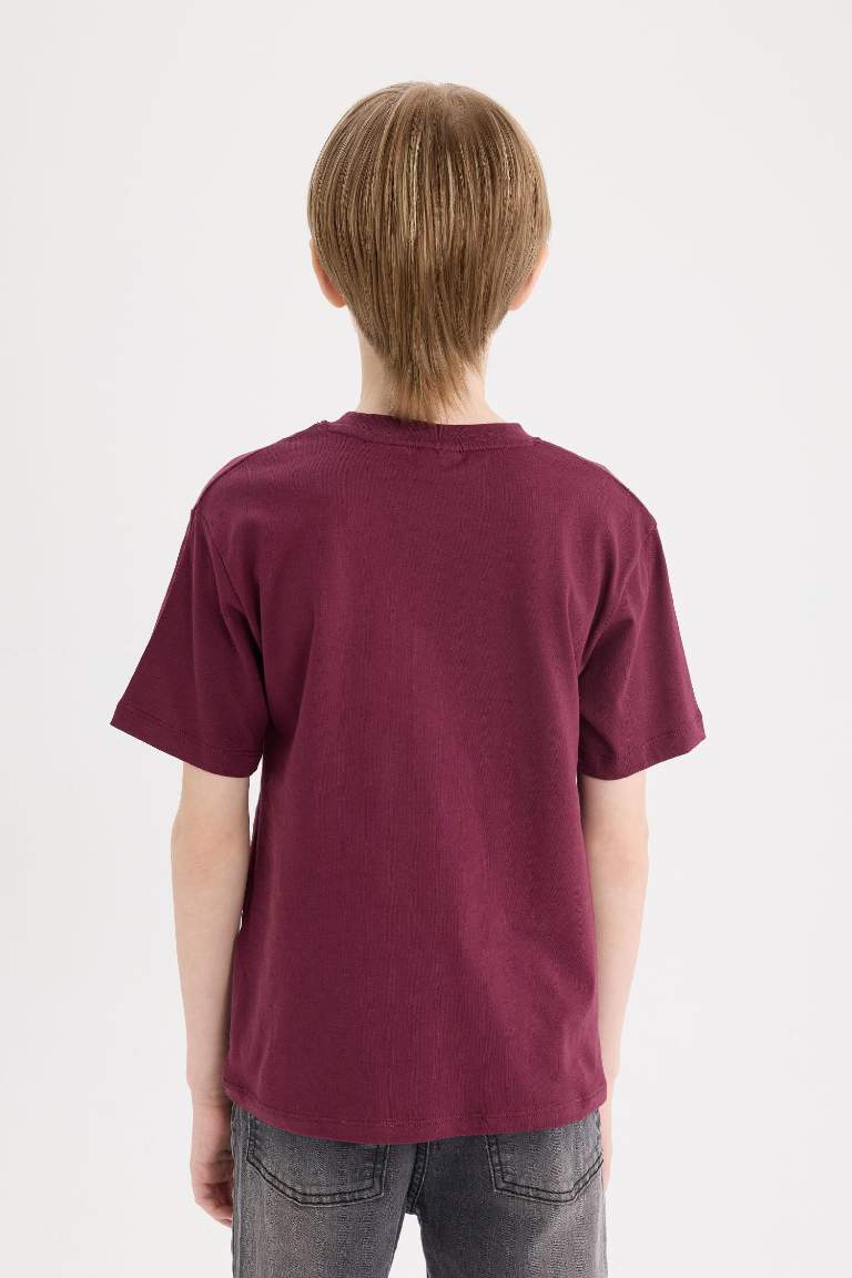 Boy Crew Neck Printed Short Sleeve T-Shirt