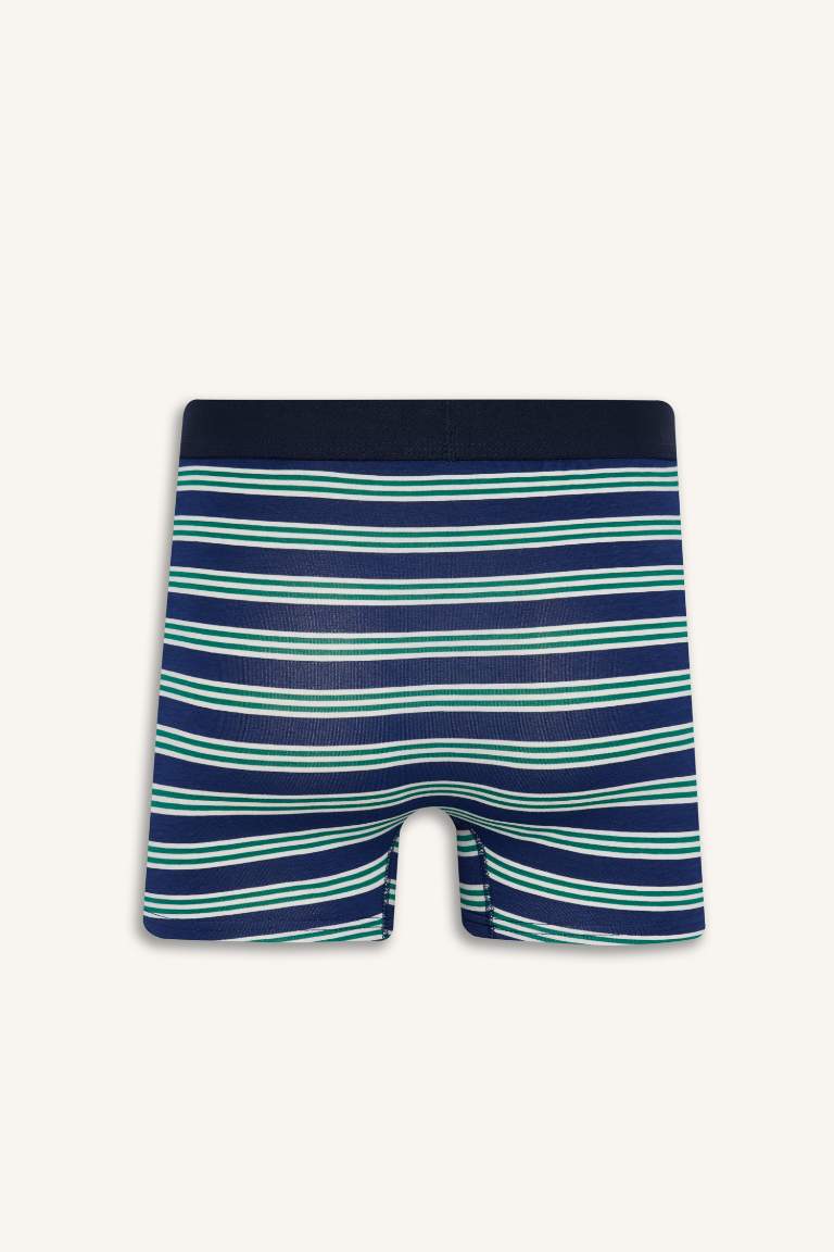 Regular Fit Çizgili 3'lü Boxer