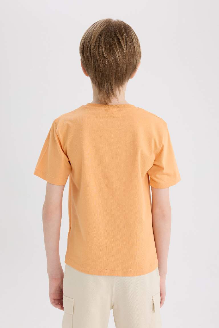 Boy Regular Fit Crew Neck Printed T-Shirt