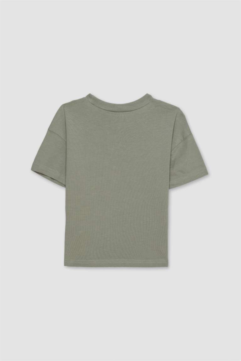 Baby Boy Regular Fit Short Sleeve T-Shirt