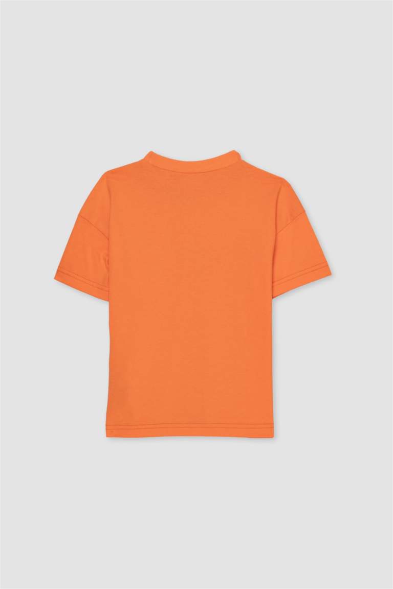 Baby Boy Regular Fit Short Sleeve T-Shirt