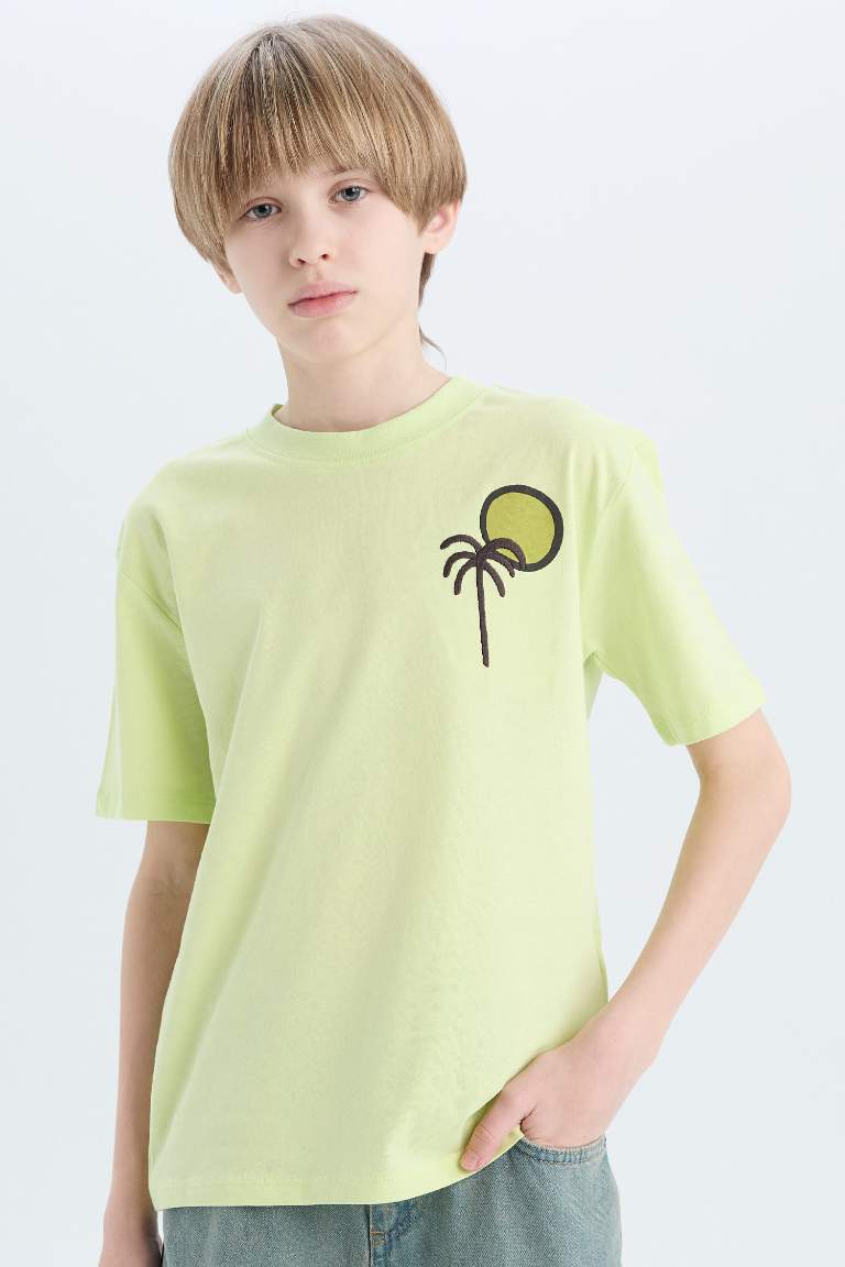 Boy Regular Fit Crew Neck Embroidered T-Shirt