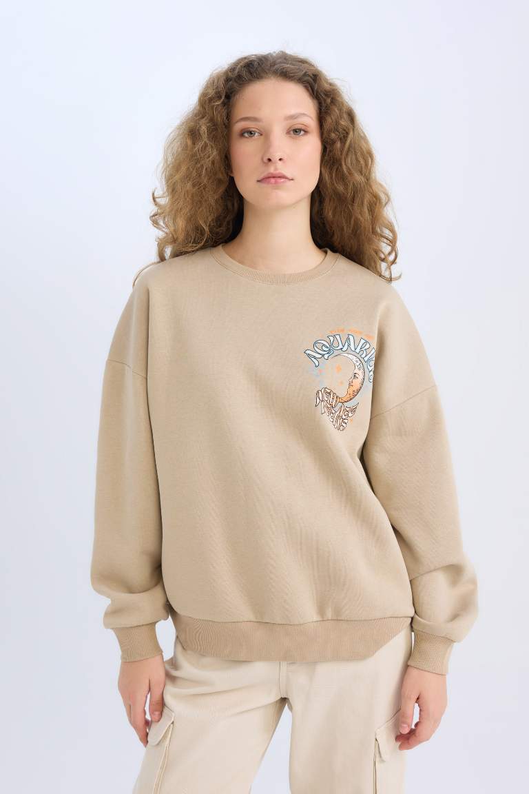 Loose Fit Crew Neck Back Printed Thick Sweatshirt