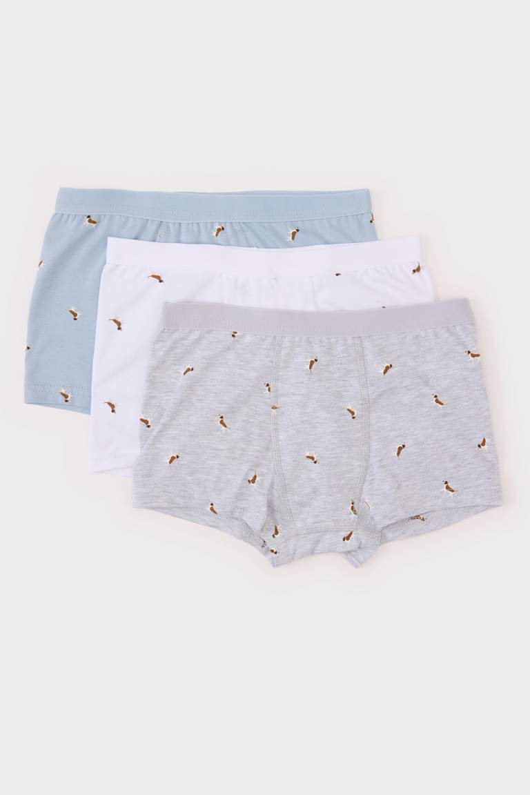 Boy Patterned 3 Piece Boxers