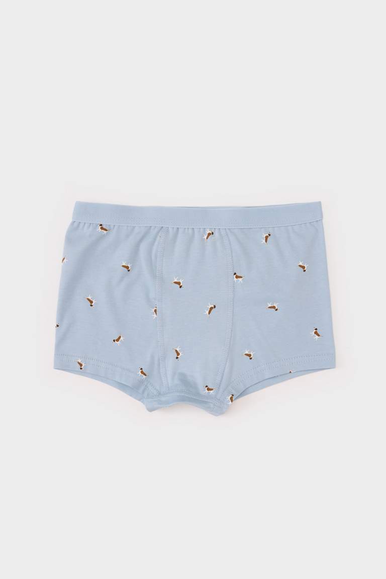 Boy Patterned 3 Piece Boxers