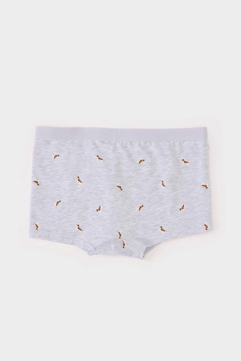 Boy Patterned 3 Piece Boxers