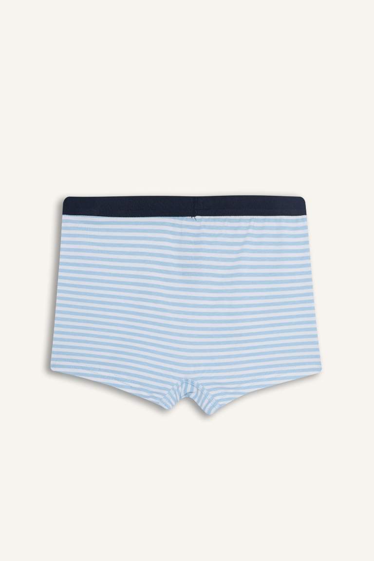 Erkek Çocuk Çizgili 3'lü Boxer