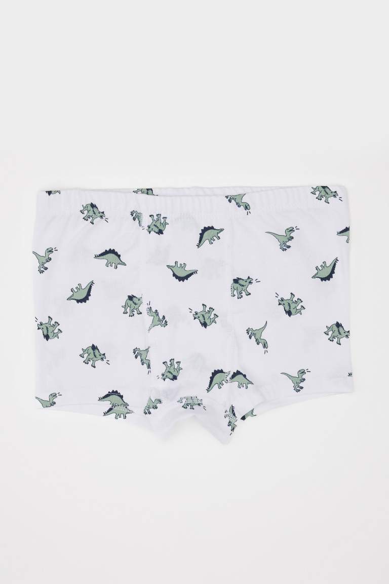 Boy Animal Patterned 3 Piece Boxers