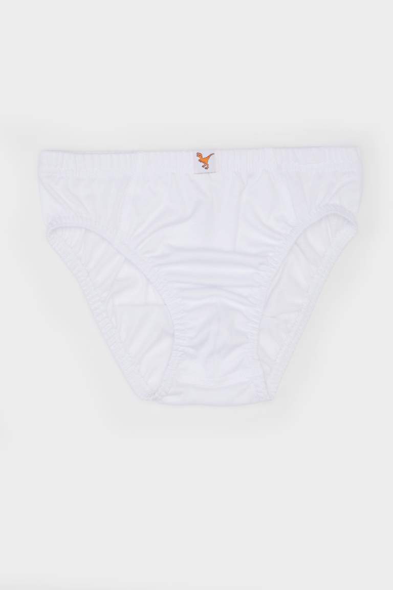 Boy 3 Piece Slip Panties