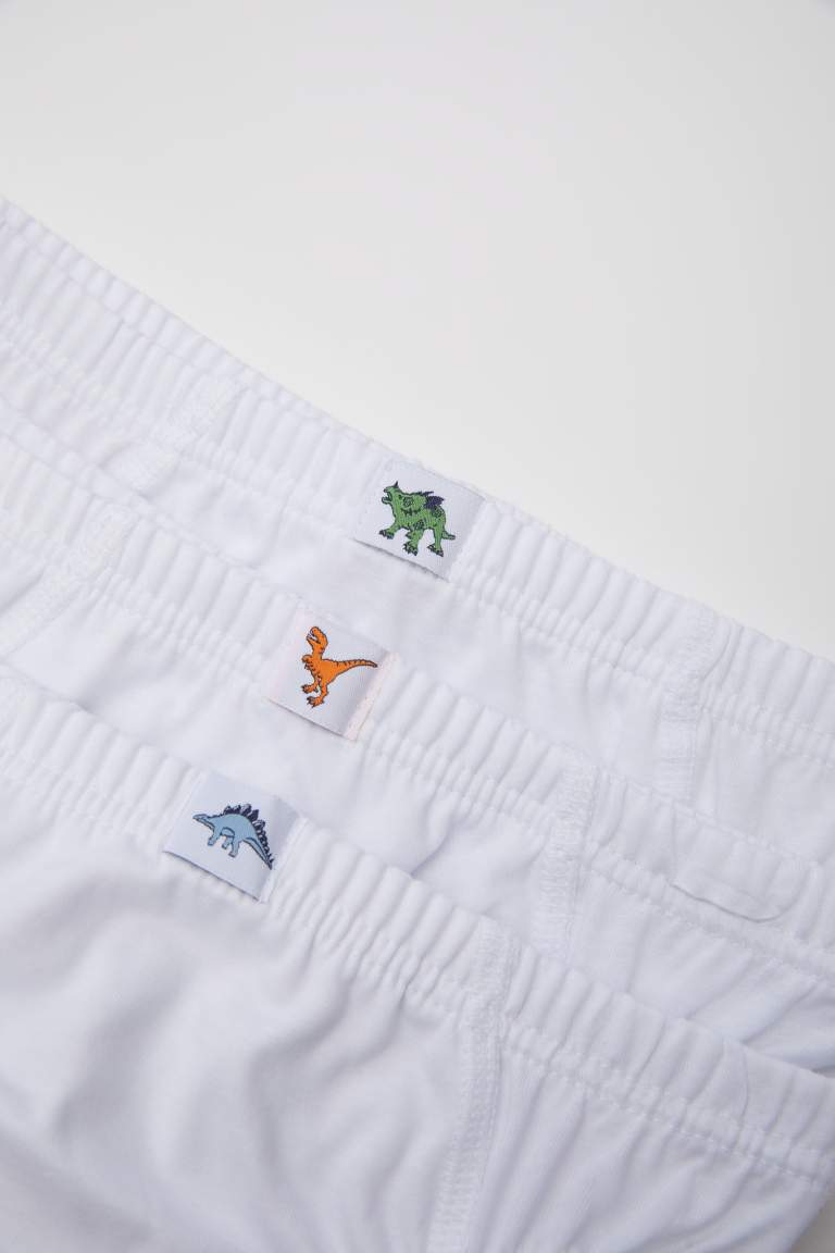 Boy 3 Piece Slip Panties