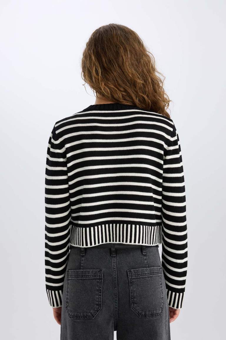 Regular Fit Striped Crew Neck Striped Knit Cardigan