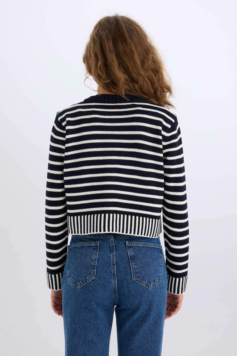 Regular Fit Striped Crew Neck Striped Knit Cardigan