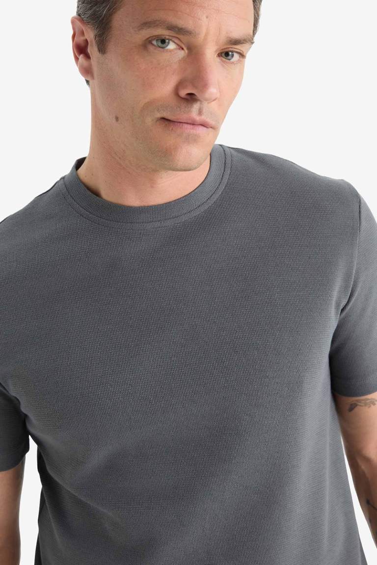 Regular Fit Bisiklet Yaka Kısa Kollu Pamuklu Ağır Kumaş Tişört