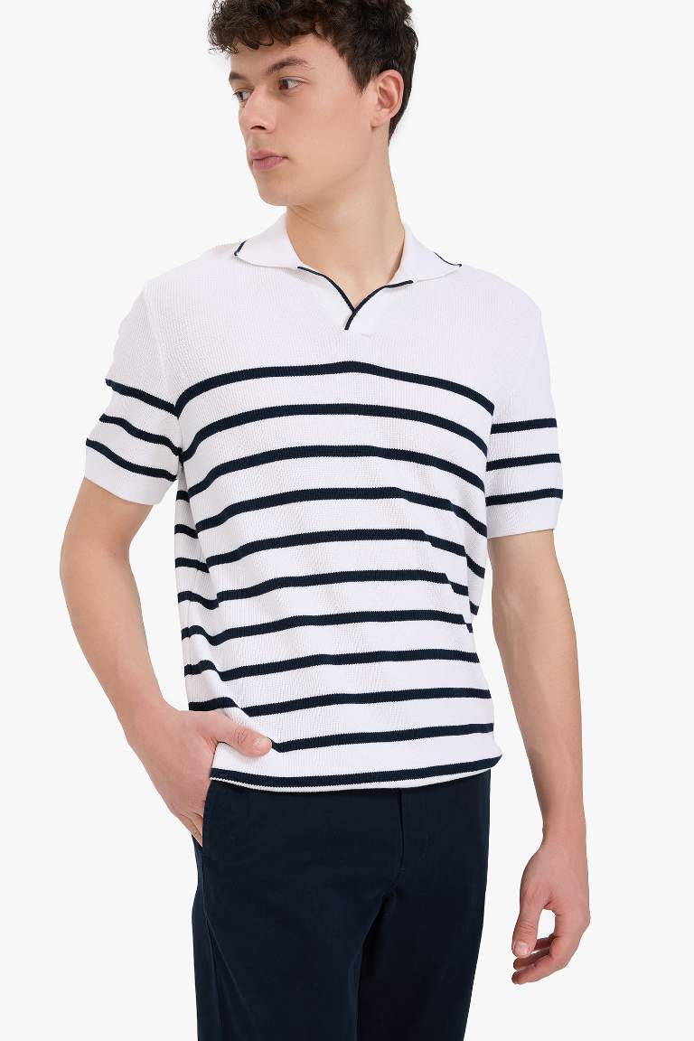 Standard Fit Knitwear Polo T-Shirt