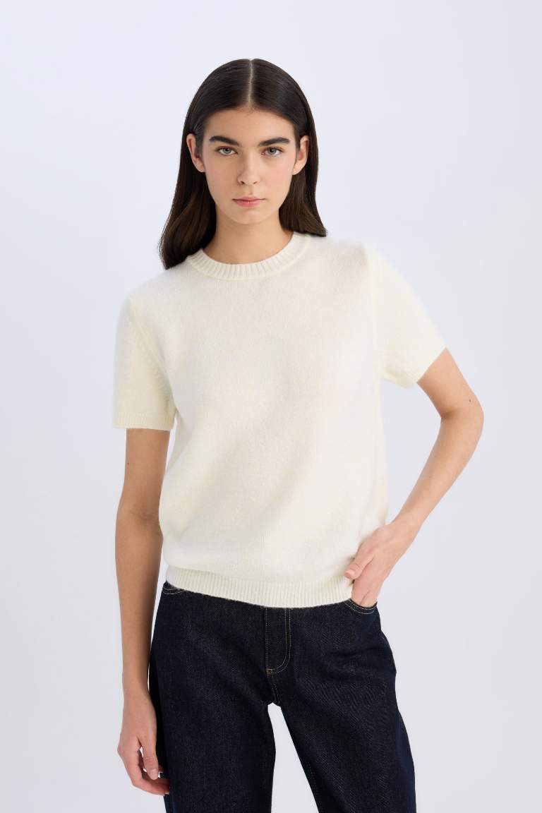 Regular Fit Crew Neck Basic Knitted Pullover