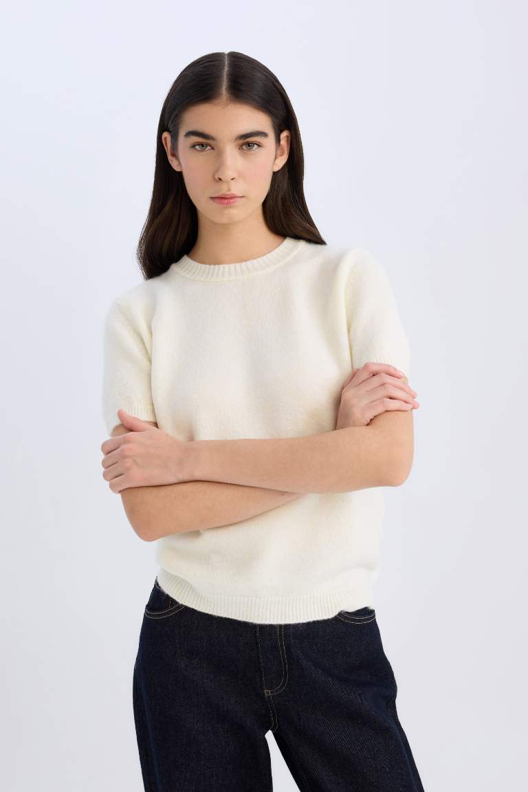 Regular Fit Crew Neck Basic Knitted Pullover