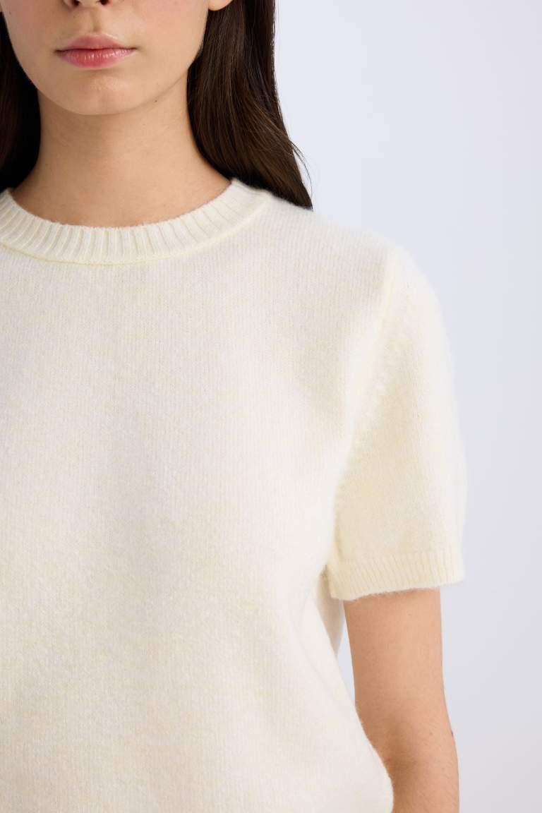 Regular Fit Crew Neck Basic Knitted Pullover