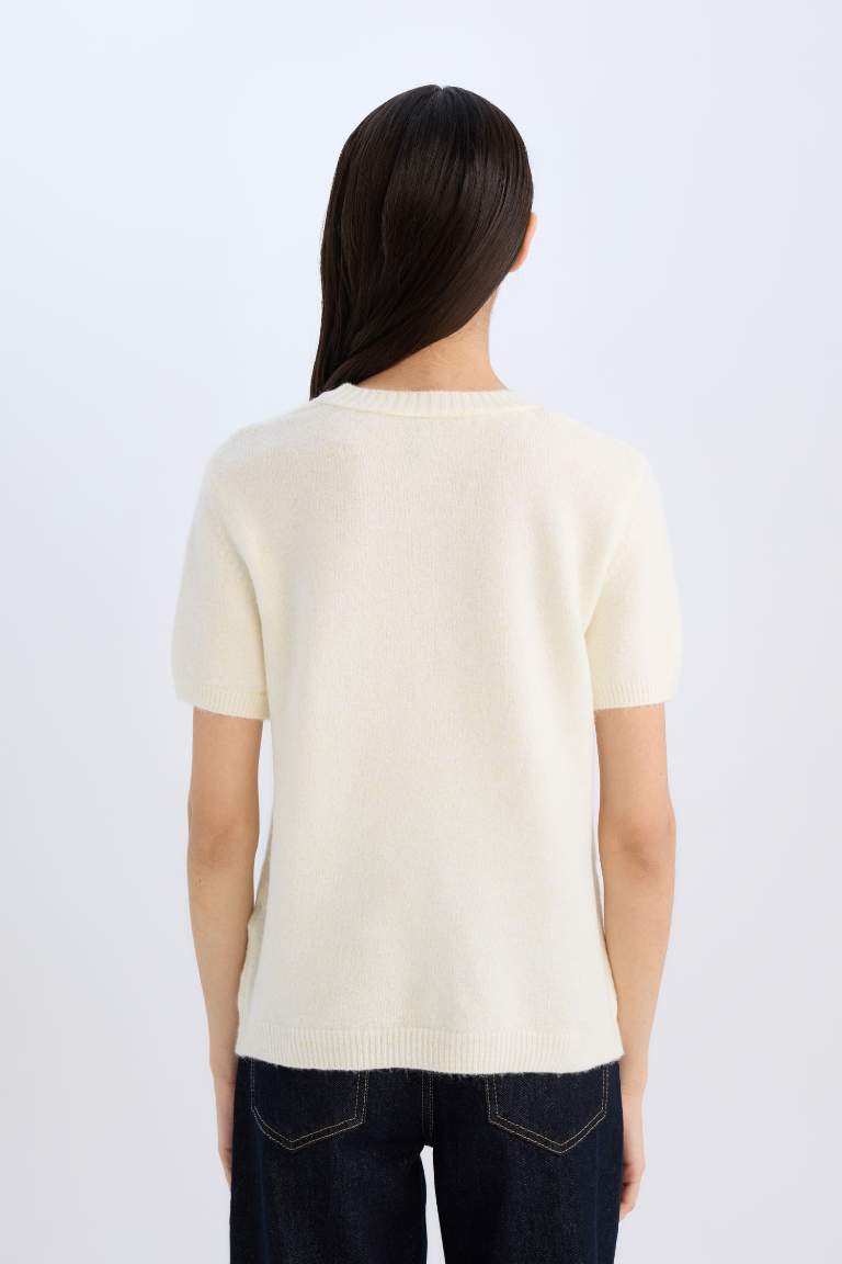 Regular Fit Crew Neck Basic Knitted Pullover