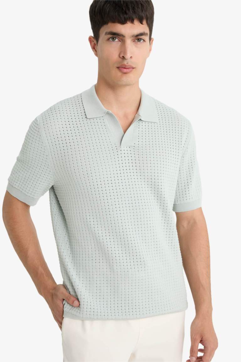 Standart Fit Polo Yaka Triko Kısa Kollu Tişört