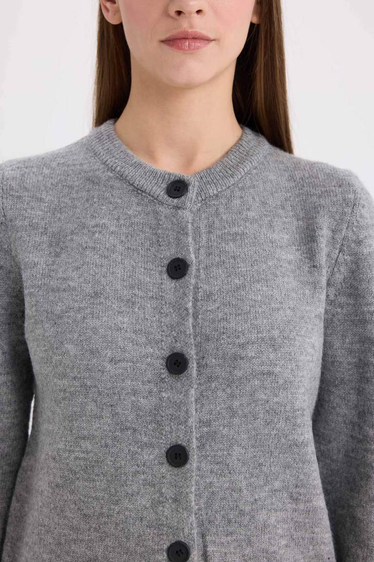 Regular Fit Crew Neck Basic Knitwear Cardigan