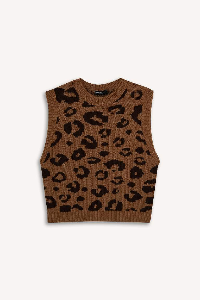 Regular Fit Crew Neck Vest