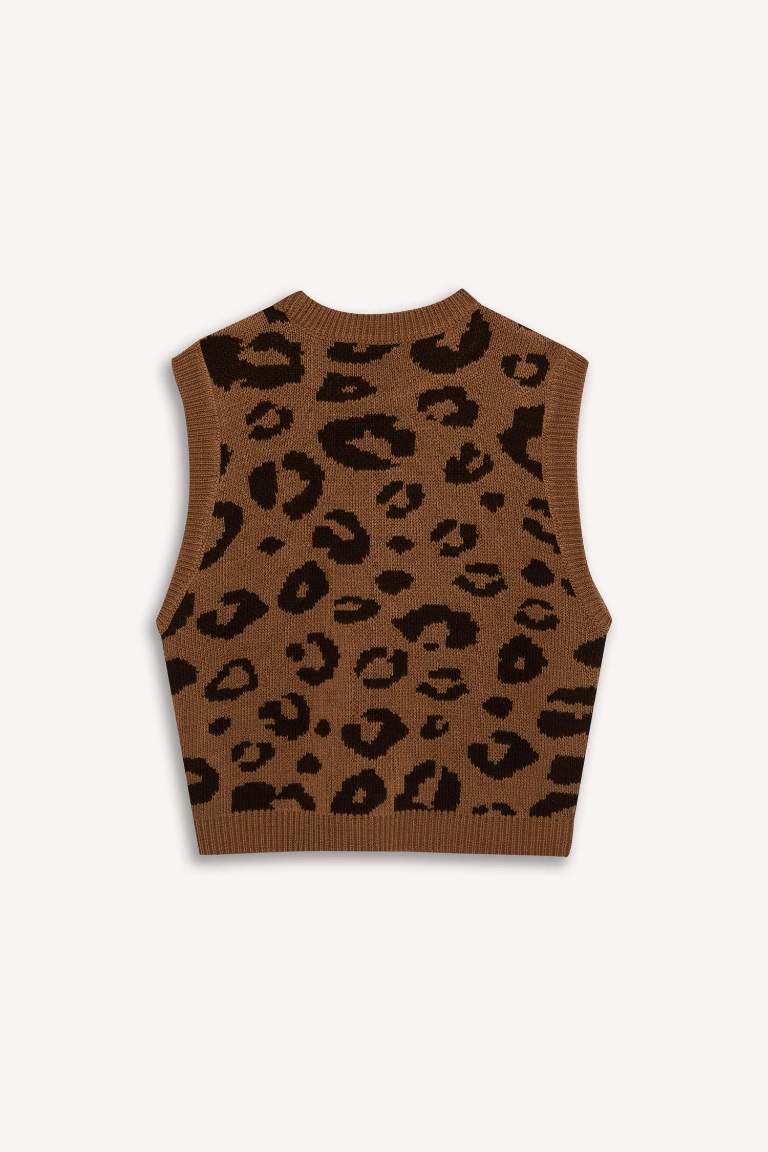 Regular Fit Crew Neck Vest