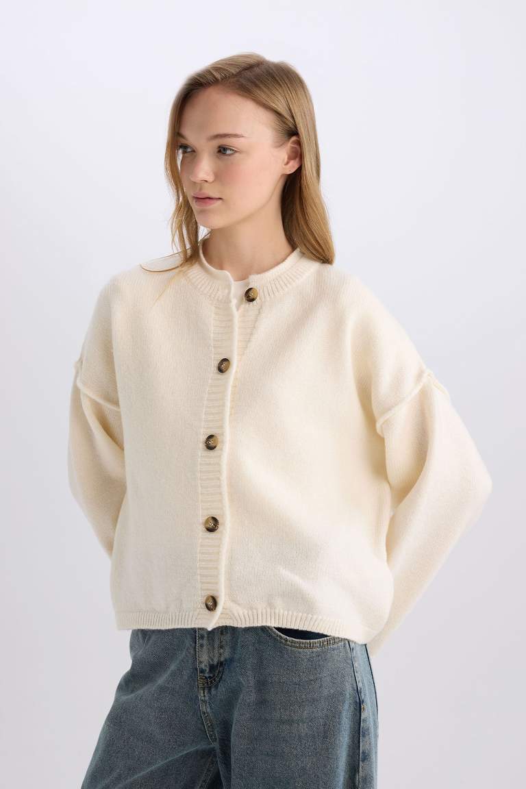 Regular Fit Crew Neck Knitwear Cardigan