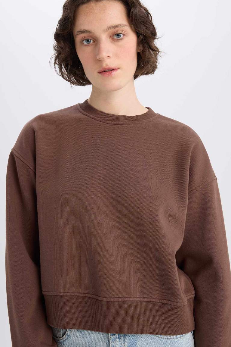 Boxy Fit Basic Sweatshirt