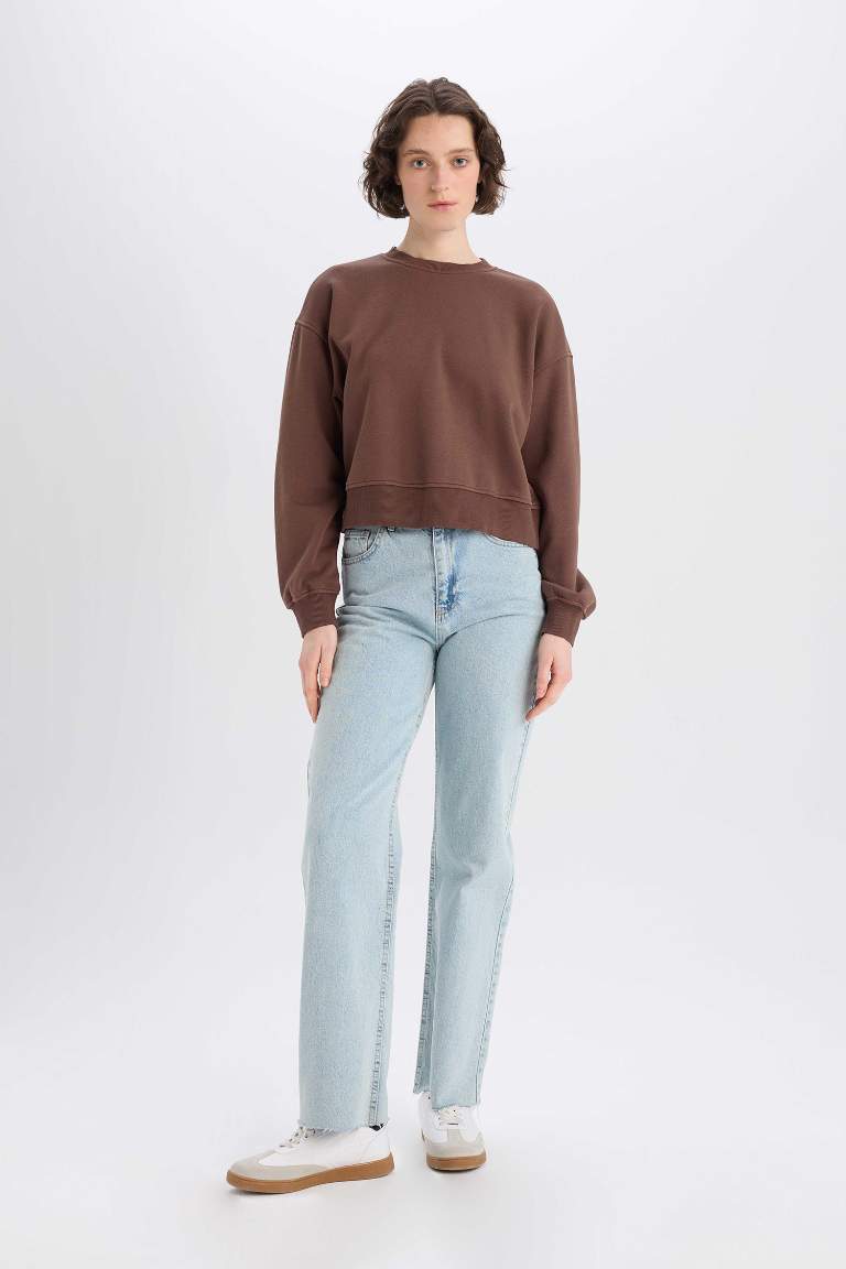 Boxy Fit Basic Sweatshirt